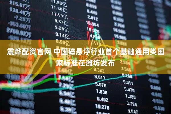 震烨配资官网 中国磁悬浮行业首个基础通用类国家标准在潍坊发布