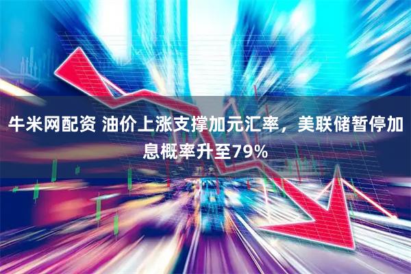 牛米网配资 油价上涨支撑加元汇率，美联储暂停加息概率升至79%