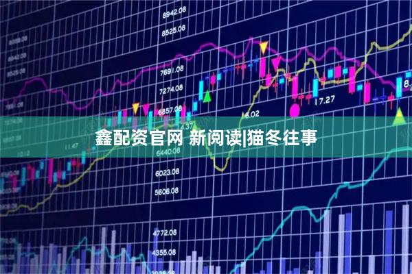 鑫配资官网 新阅读|猫冬往事