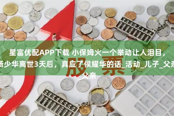 星富优配APP下载 小保姆火一个举动让人泪目，杨少华离世3天后，真应了侯耀华的话_活动_儿子_父亲