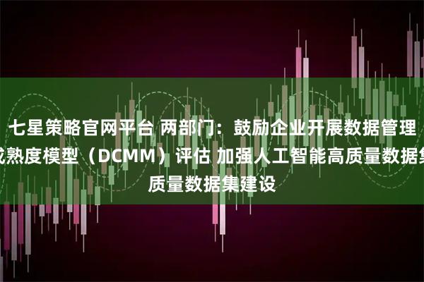 七星策略官网平台 两部门：鼓励企业开展数据管理能力成熟度模型（DCMM）评估 加强人工智能高质量数据集建设